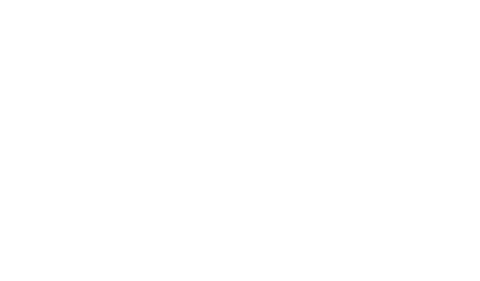 Duke Electric